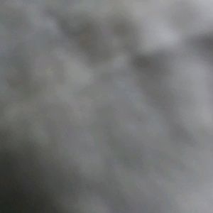 Meet your Posher, Kelli